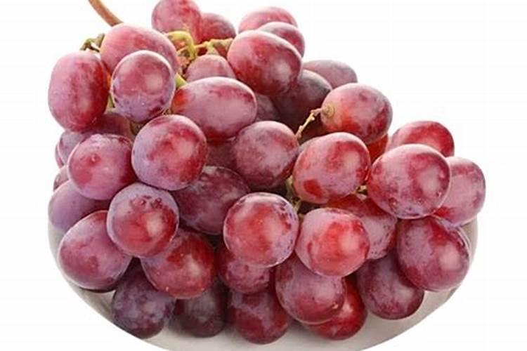 荷兰豆用什么肥料最好