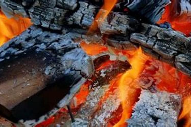 藤本月季怎么修剪方法