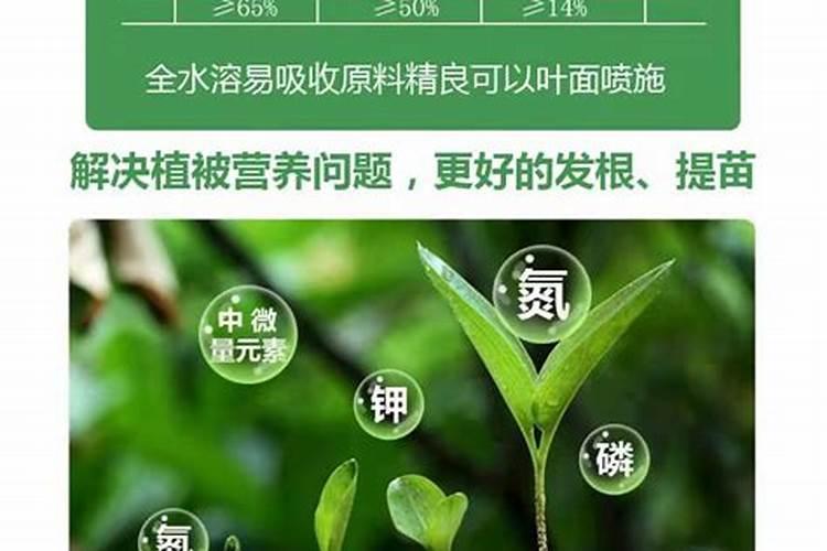 果树水溶肥哪个牌子质量好
