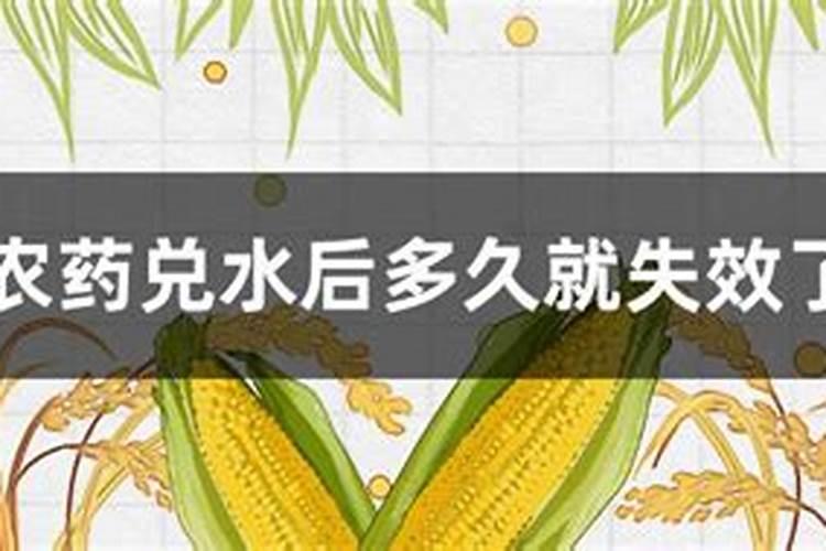 叶面肥追肥效果怎么样？蔬果专用叶面肥？优质叶面肥生产厂家？