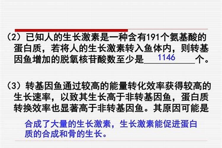 有人知道这是什么野菜吗？