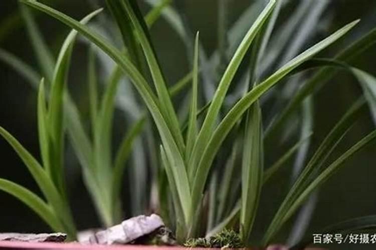 女人养分是什么意思？