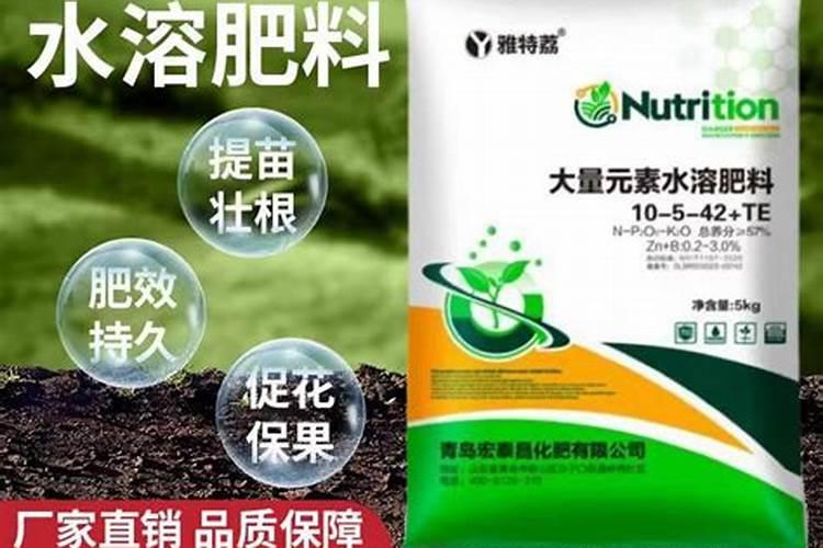 大量元素水溶肥两天用一次行不行
