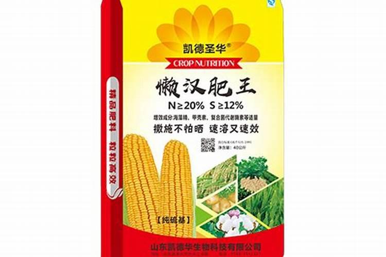 玉米采用这种方法种植超简单,每亩只需投入7天工