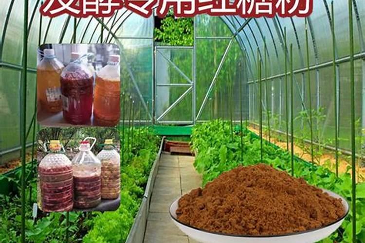 养花用什么杀菌剂最好