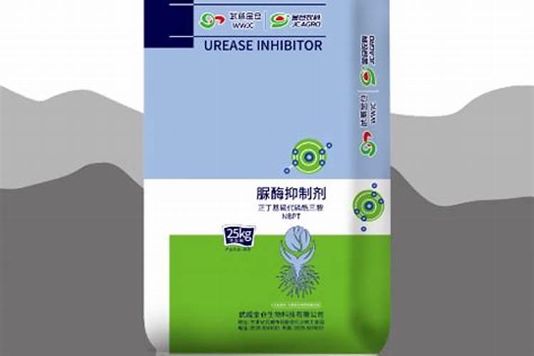 食叶草有什么用处