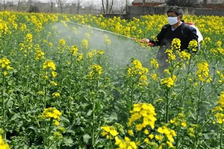 草木染——中国古代绝美的自然染色技法