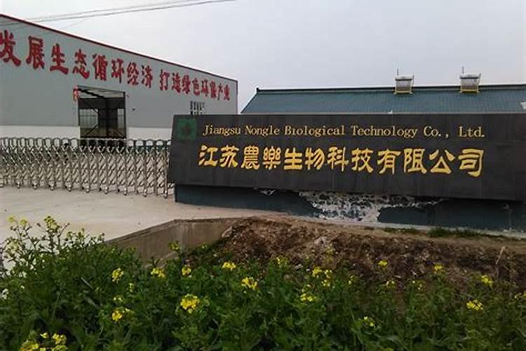 兰花的叶尖干枯怎么办 兰花的叶尖干枯如何处理