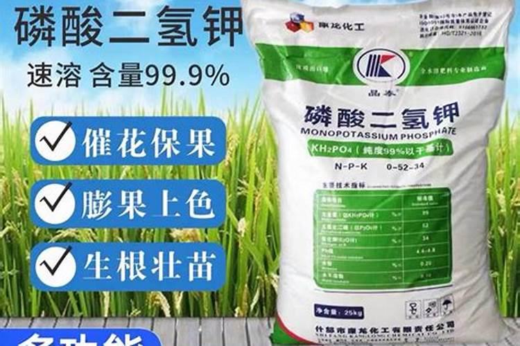 九杞叶用什么牌子叶面肥好