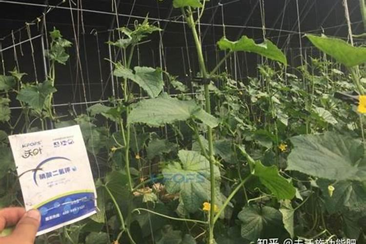 昆明福尔威化肥好不好