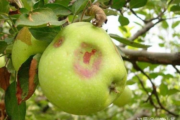 氨基磺酸多少钱一吨