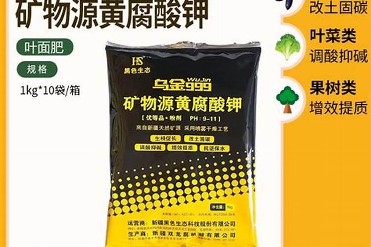大蒜种植为什么要用大蒜,而不用它所结出籽粒来用种？