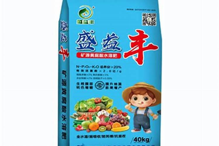 枣庄有哪些大型水泥厂