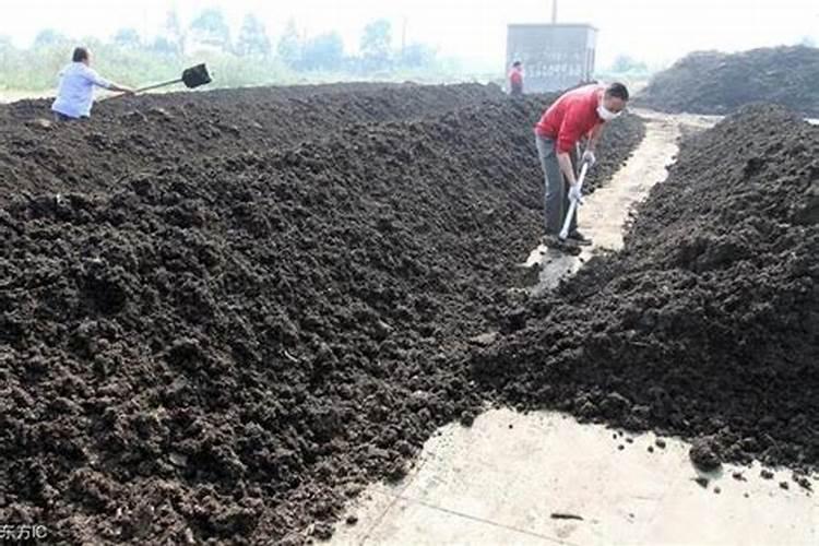 嫁接梨树冬季施肥方法 冬季嫁接梨树施肥方法