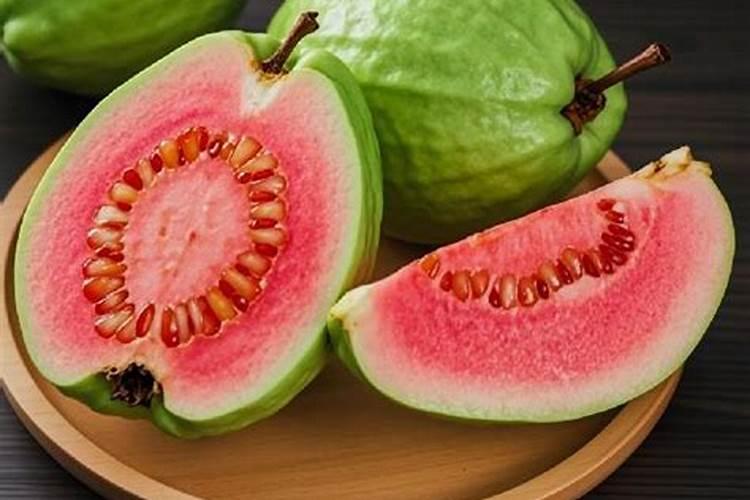 芭乐树怎么养？