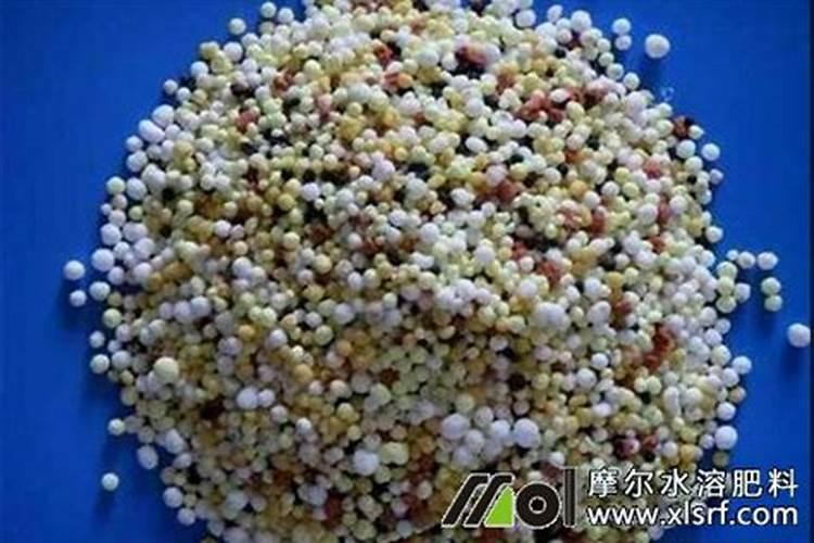 葡萄树到结果季节需要打药吗？