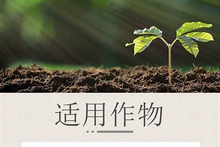 北控水务在推动水务行业数字化转型过程中,有哪些关键技术应用和成效展示...