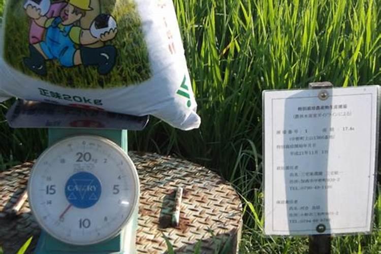 黄豆八月份豆瘪施啥肥料好？