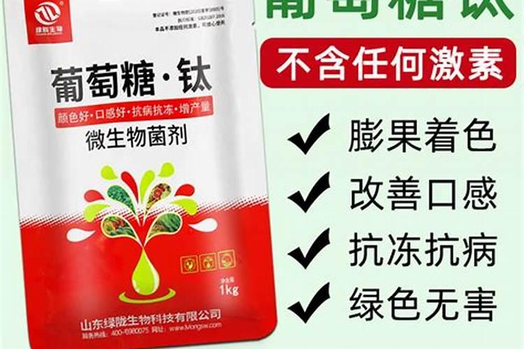 黄瓜浇水的正确方法