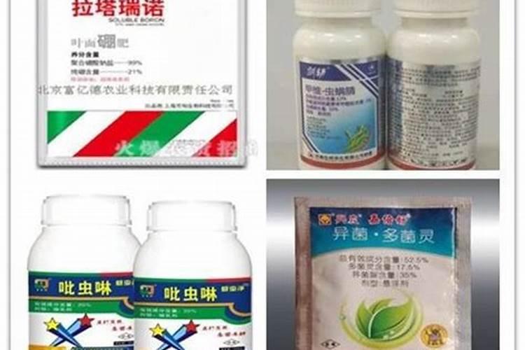 附石菖蒲怎么施肥