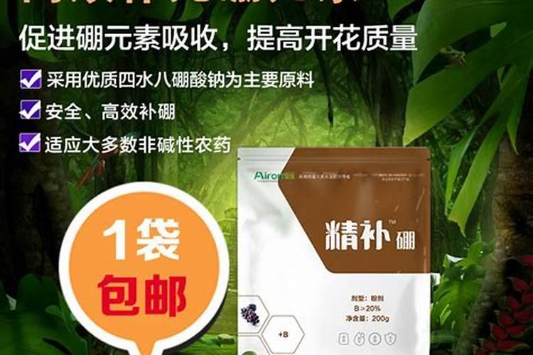 如何评价乐队COM'Z康姆士？