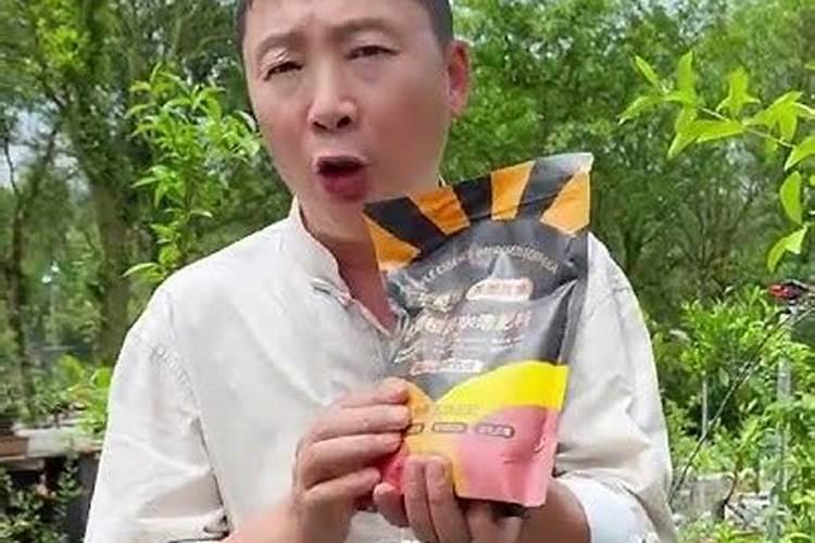 金弹子施什么肥最好