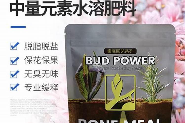 大枣种植如何管理能增产？大枣坐果期膨果增甜用什么肥料好