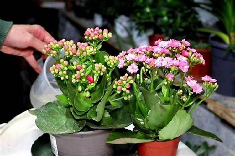 深圳市桑格尔科技股份有限公司怎么样