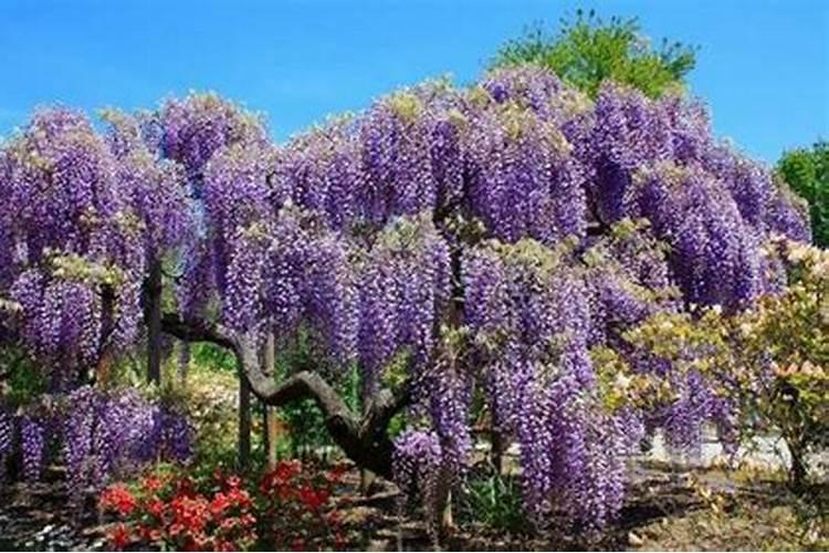 151515复合肥价格？