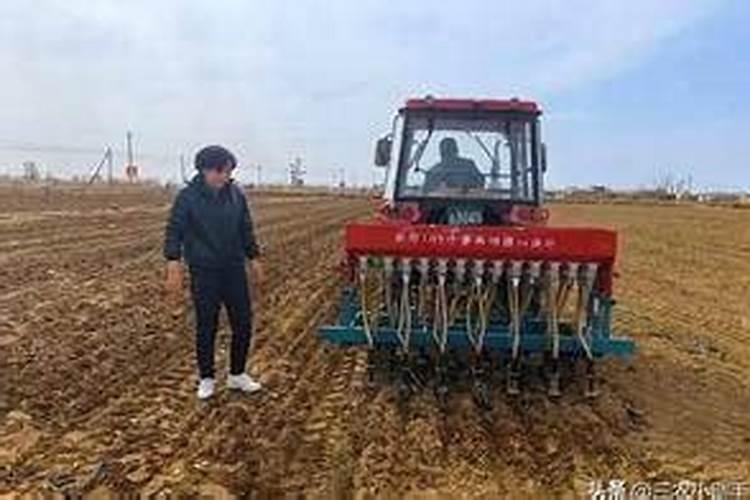 对于不同类型的小麦,从提高品质的角度如何进行氮肥运筹？