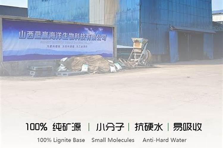 圣经什么时间出什么人