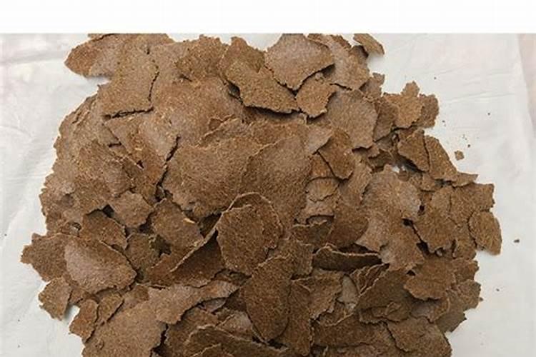 宁阳周边养猪场有哪些