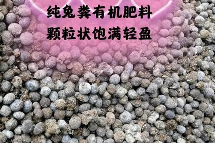 兔粪最简单的发酵方法