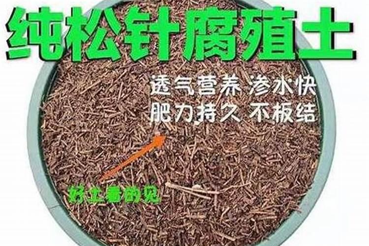 木头灰可以做肥料吗