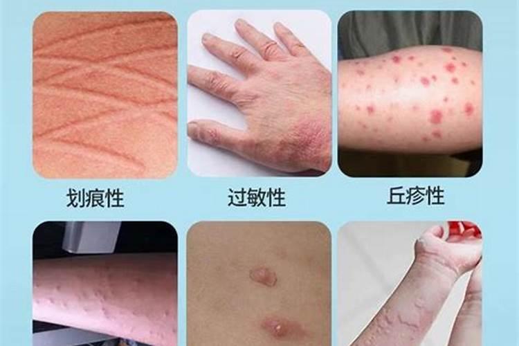 饲料中的蛋白含量是否越高越好？