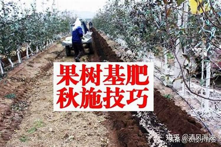 硅谷肥都有什么含量？