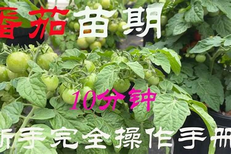 丹顿科技集团有限公司怎么样