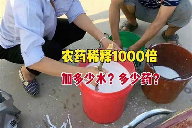 落地生根养在家里风水作用,能生财旺财是天然的摇钱树