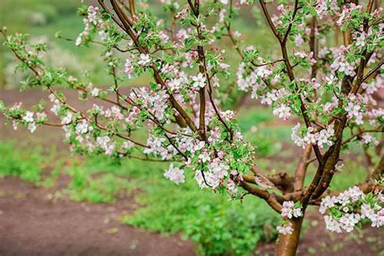 承德华晟铜业有限责任公司是国企吗？