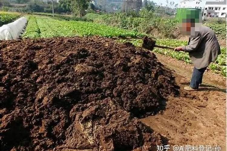 如何使散养家禽的粪便转化为有机肥料资源？