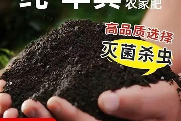 早酥梨采后管理小技巧