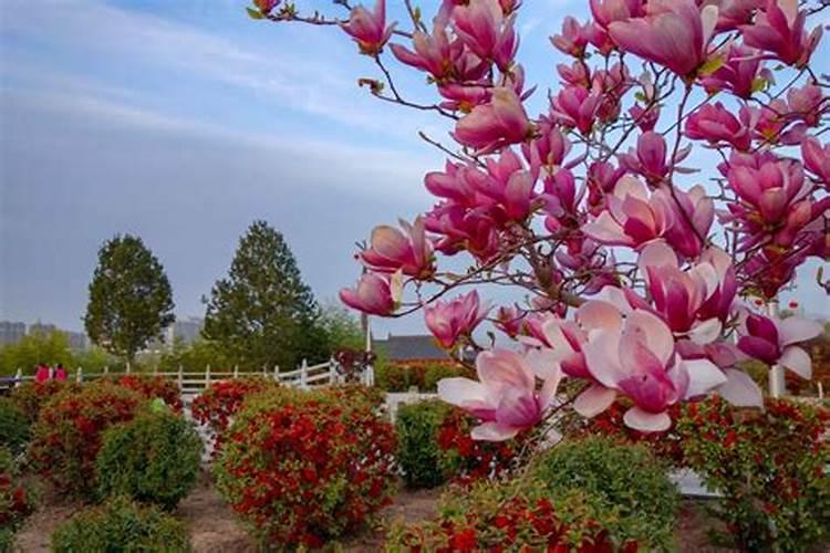 石家庄电视台宣传的春暖牌化肥好吗