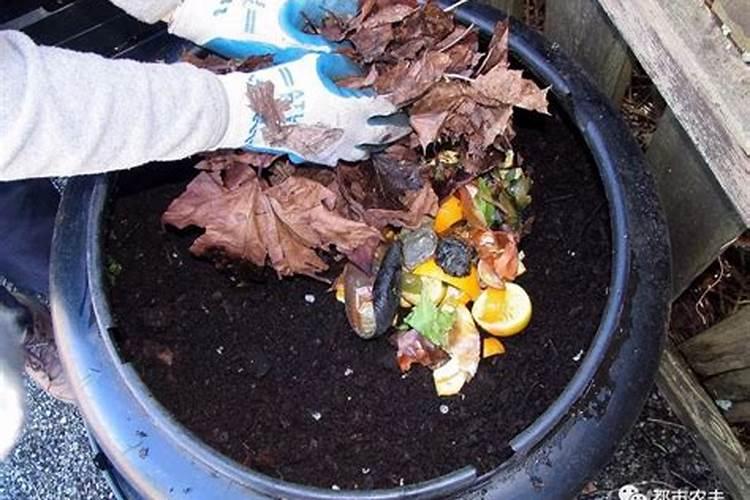 叶伏天死了第几章