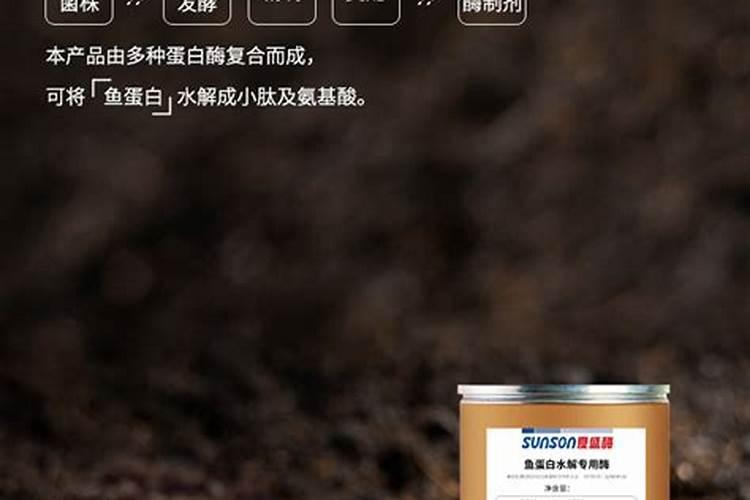 和田红枣的种植方法