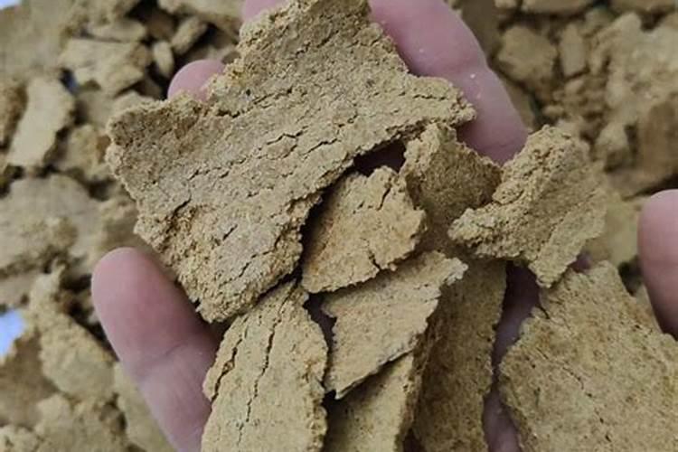 养金鱼的水质如何调节