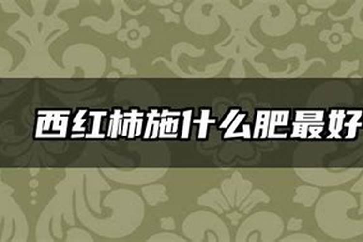 土豆用什么肥料高产