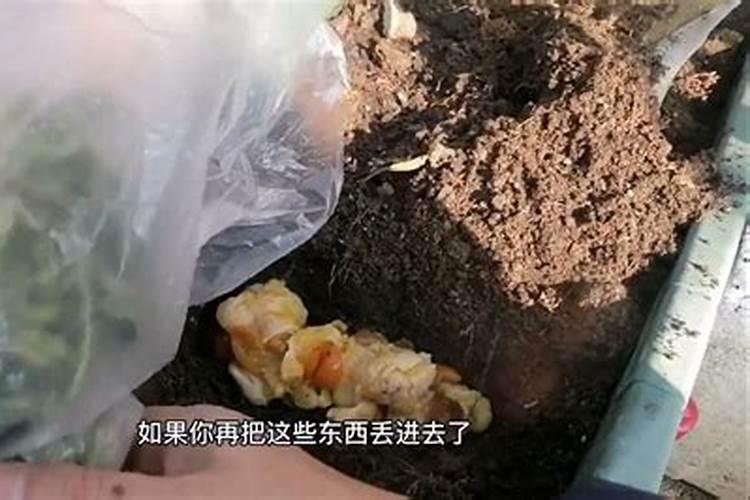 去除冰箱异味妙招