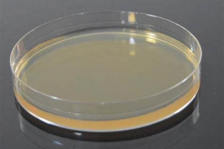 萝卜如何施肥 萝卜施肥时间与方法