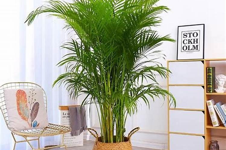 草坪正确施肥方法