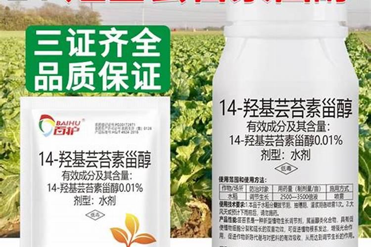 有机肥和微生物菌肥能一起用吗